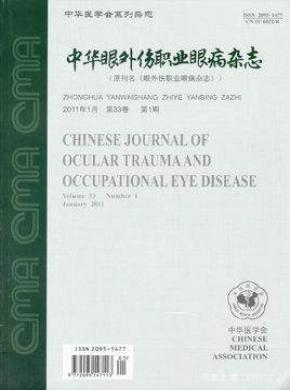 中華眼外傷職業眼病
