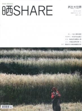 養生大世界